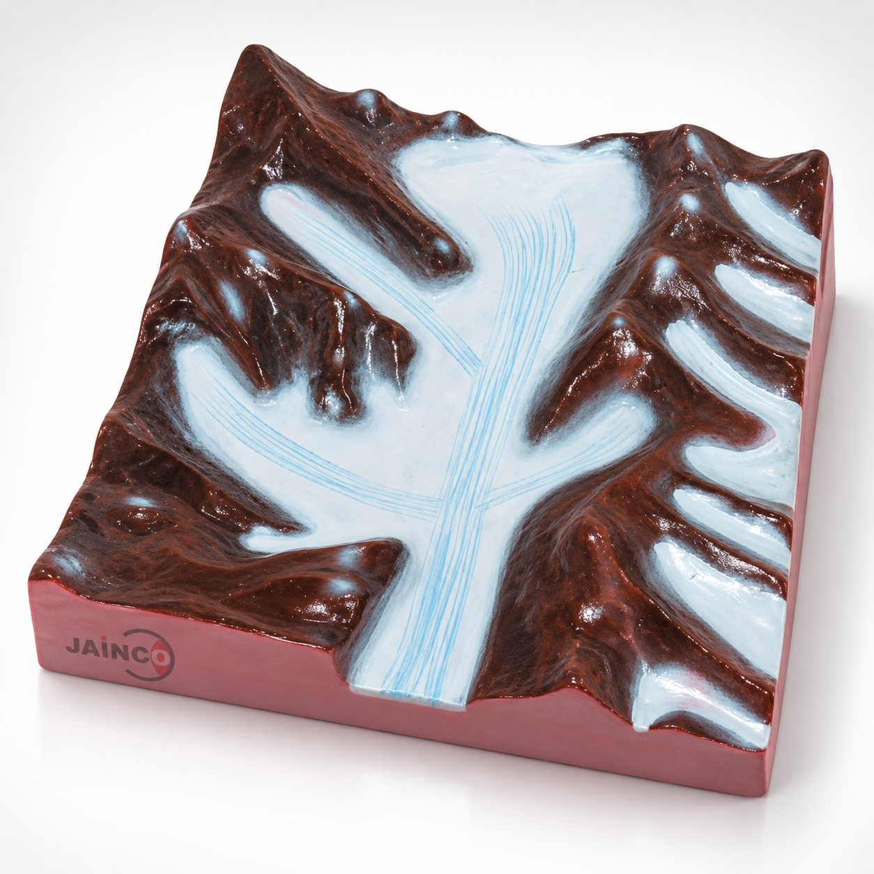 Glacier Model